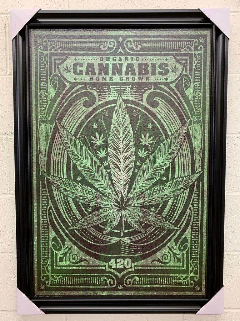24"x36" Organic Home Grown Cannabis.
