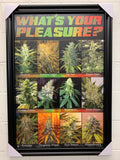24"x36" What's Your Pleasure Pot Marijuana.