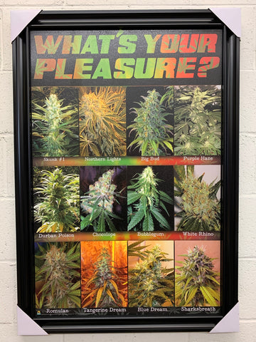 24"x36" What's Your Pleasure Pot Marijuana