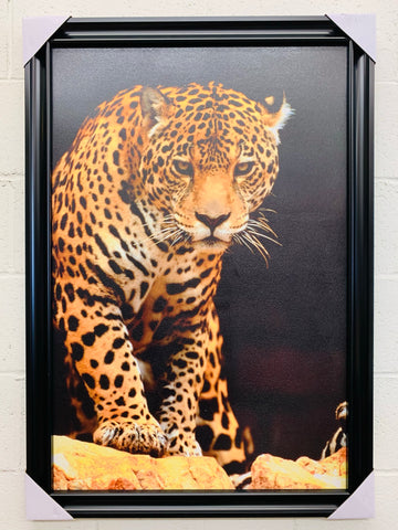 24"x36" American Jaguar